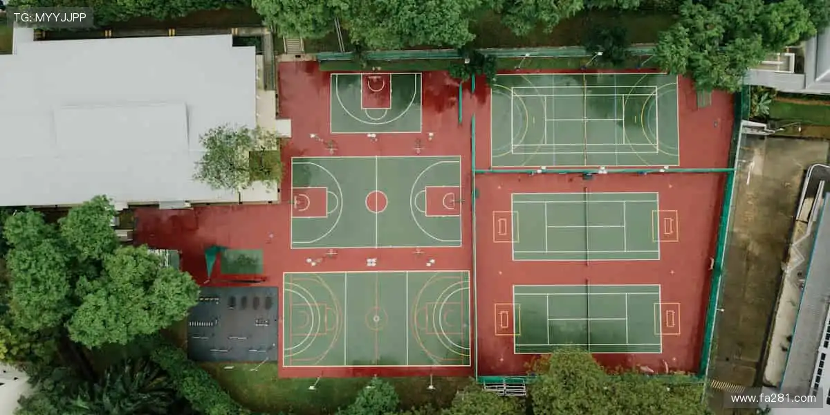 ⚡巅峰对决，心跳与欢呼同频！🏆